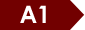 A1