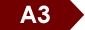 A3